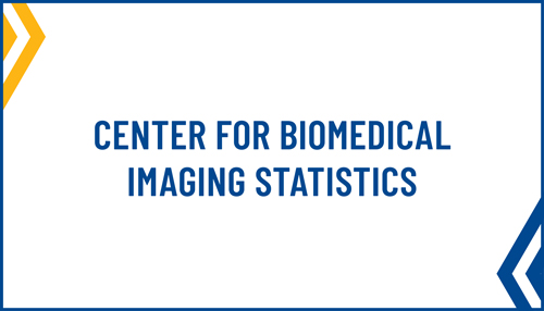 Center for Biomedical Imaging Statistics