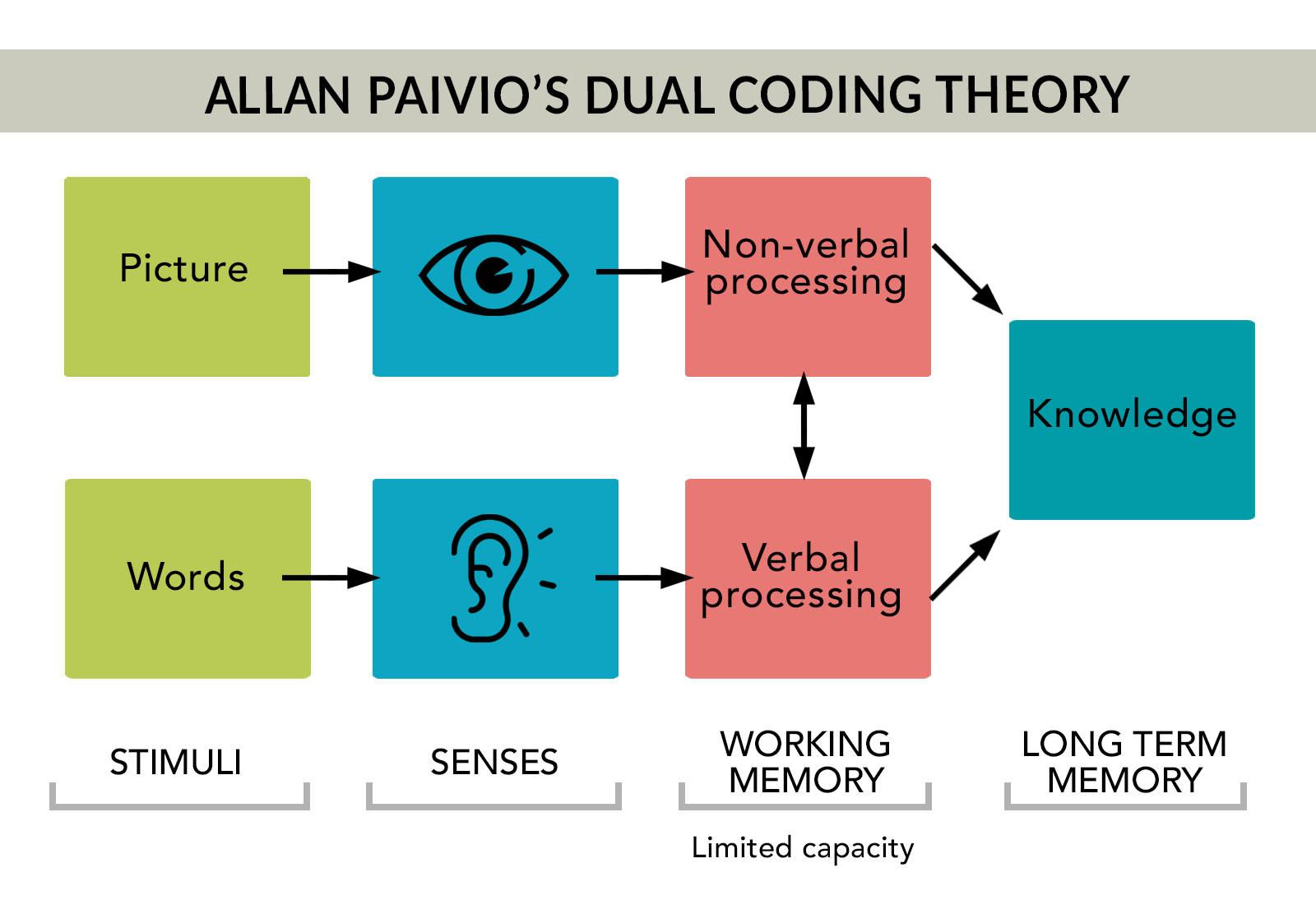 Paivio-Dual-Coding-of-image-and-text-along-two-channels