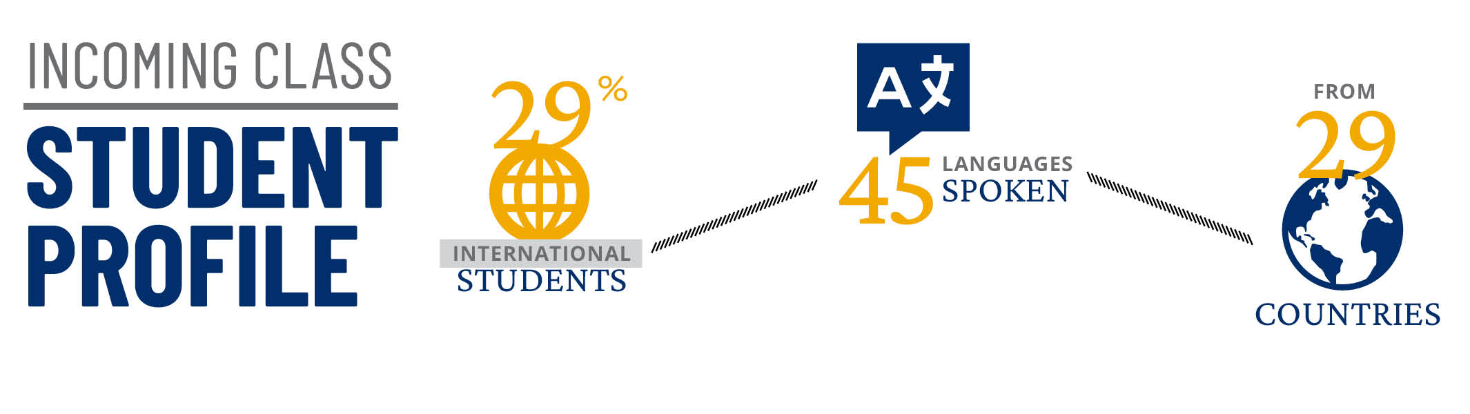 29% international students, 45 languages spoken, from 29 countries