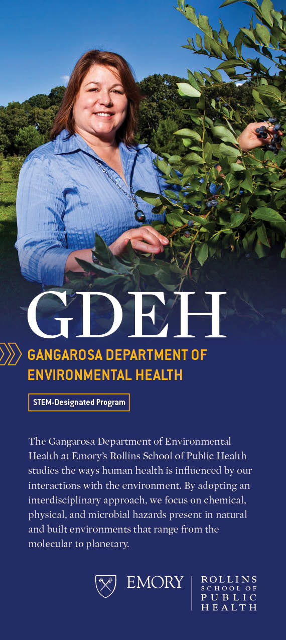 GDEH brochure handout thumbnail