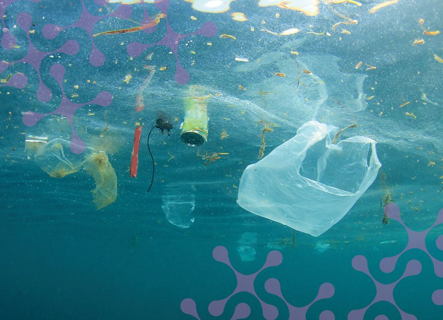 a photograph of a body of water filled with plastic and trash.