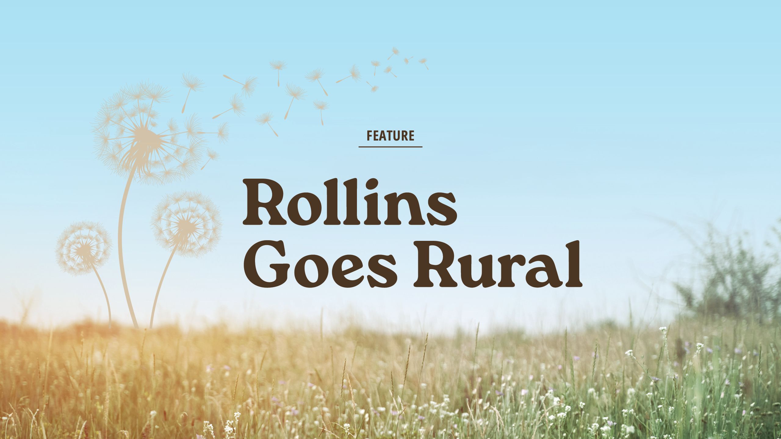 a photo illustration of a country field with wild flowers and grass with the title of the story which reads Rollins goes rural