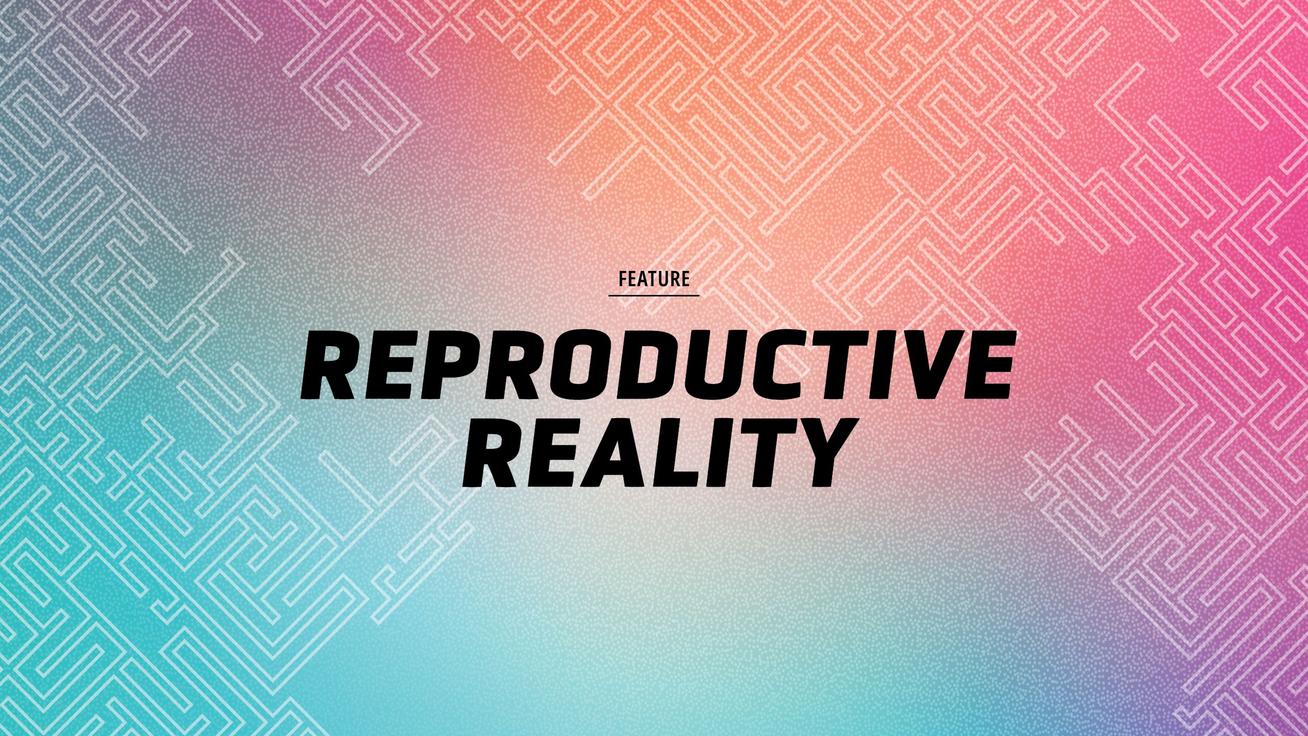 an abstract colorful background image with an abstract maze design and the title that reads Feature Reproductive Reality