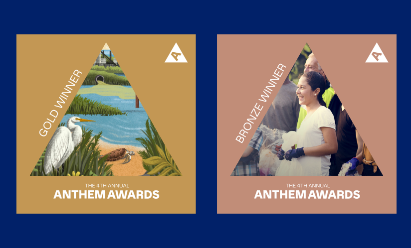 Anthem Award winners