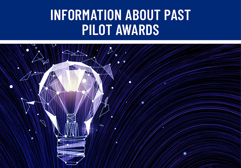 image link to prior pilot awards