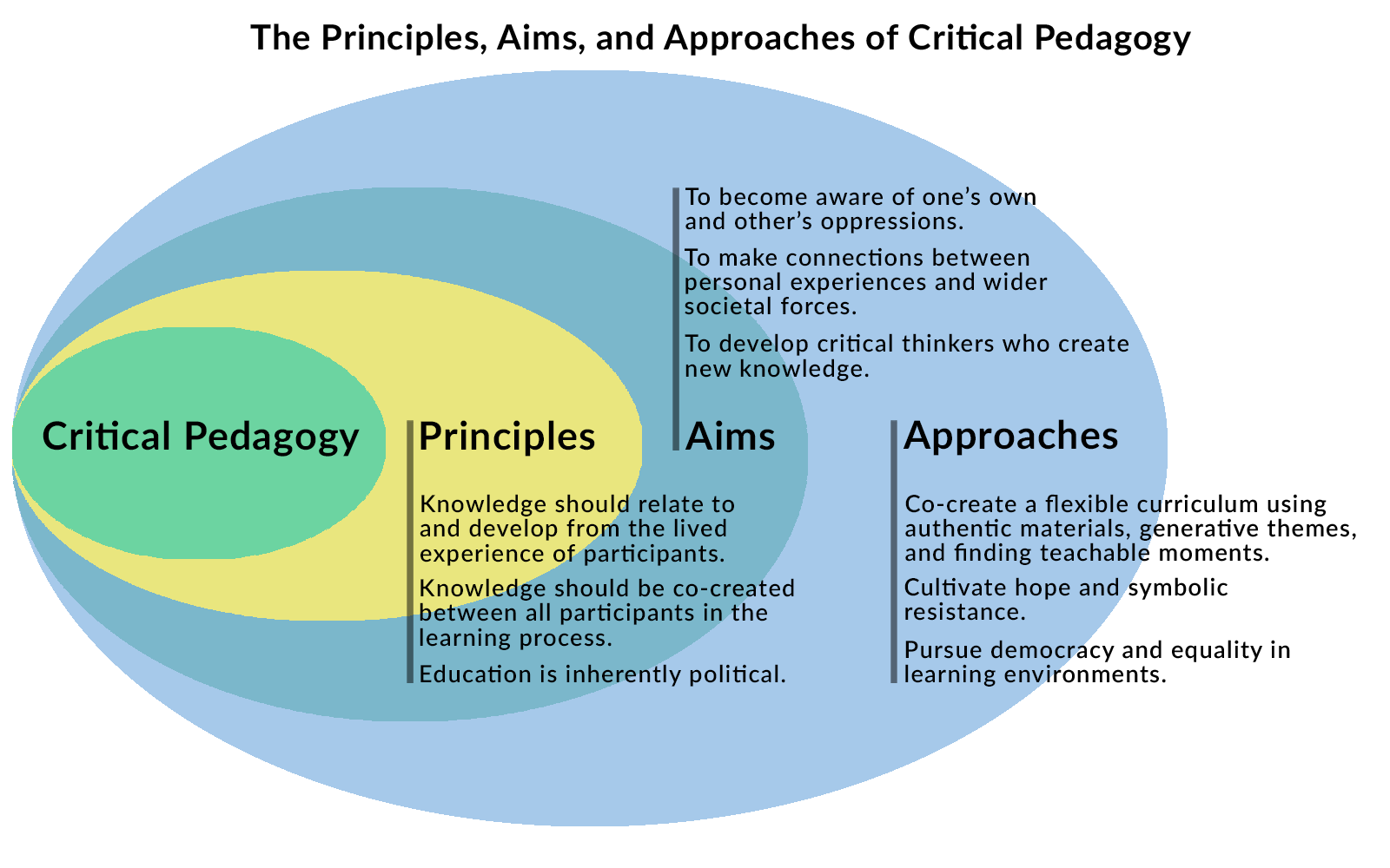 critical thinking critical pedagogy and climate change education