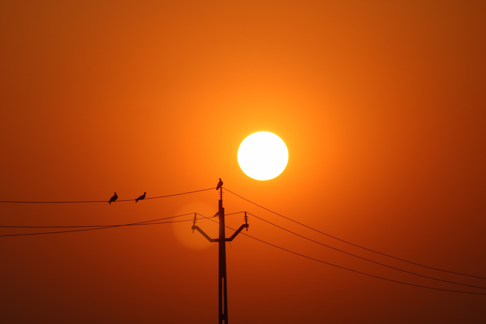 heat-image-climate-change.jpg