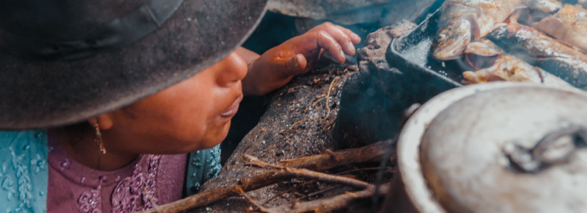 Woman cooking on wood burning stove
