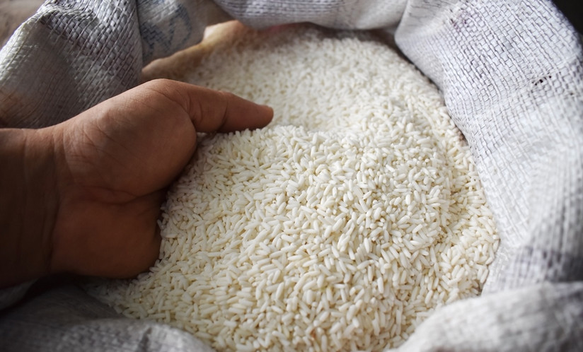 hands holding rice