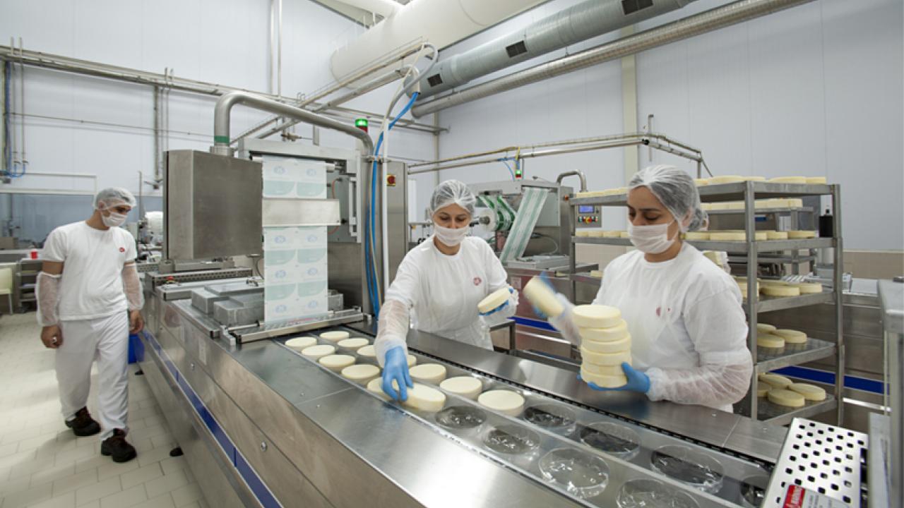 Factory Food Worker COVID19 Risk Low