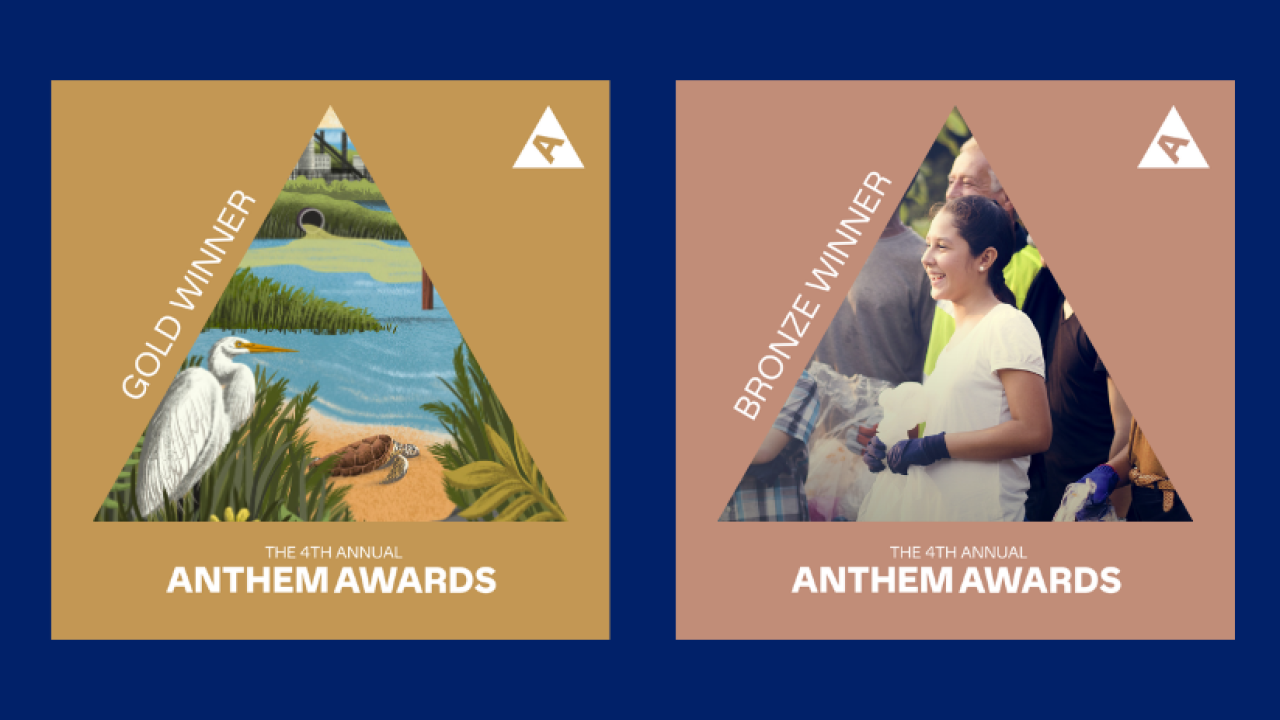 Anthem Award winners
