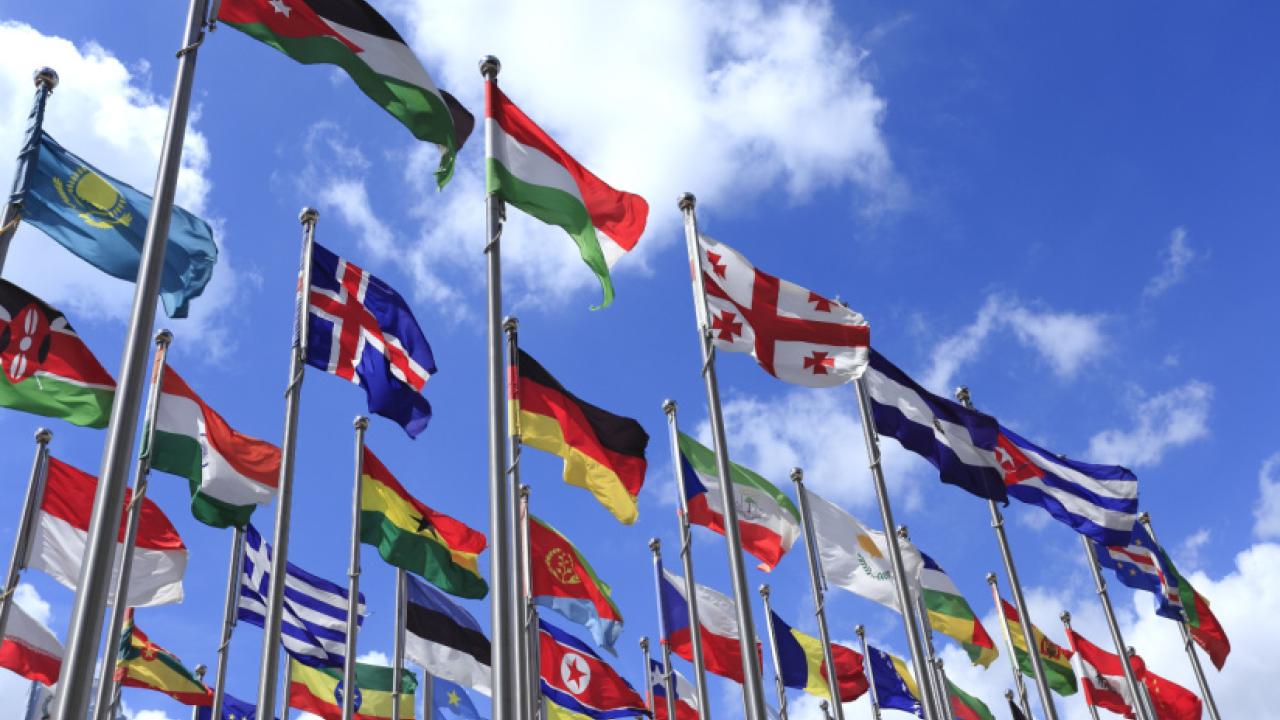 Flags of the world