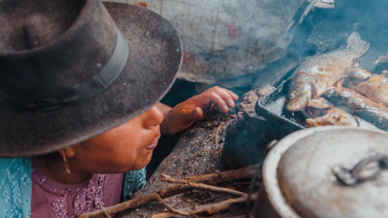 A woman cooking on a wood-burning stove