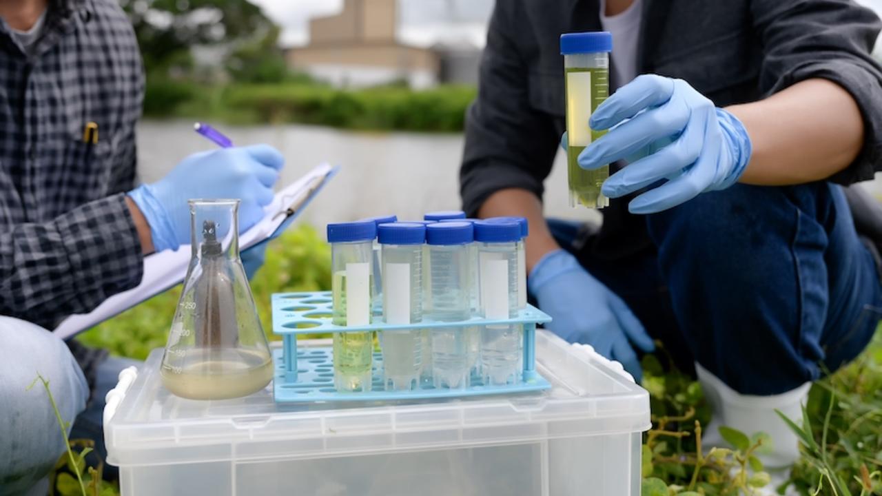 Environmental scientists testing water by a pond