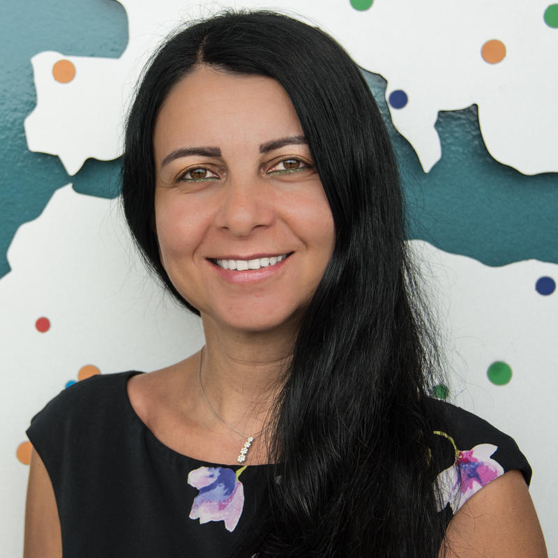 Ghada N. Farhat