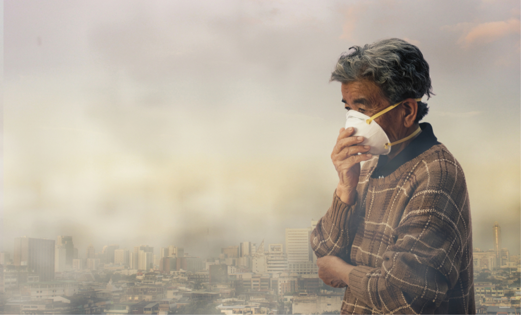 Air pollution affects on Alzheimer's disease